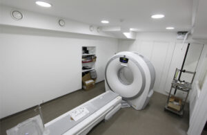 Vet clinic decoration, Maide Valley